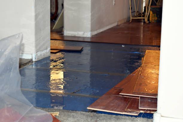 Professional Basement Flooding technician working in Wallingford, PA